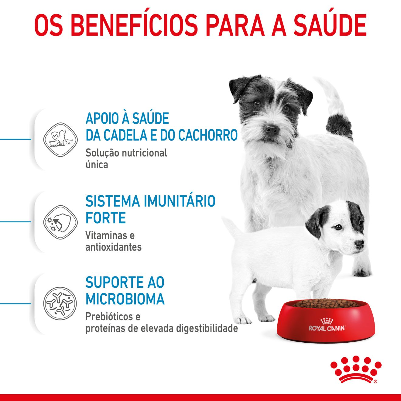 STARTER Mother & Babydog - MINI