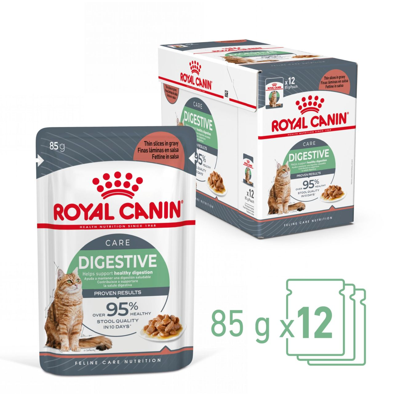 DIGESTIVE CARE Λεπτές φέτες σε σάλτσα