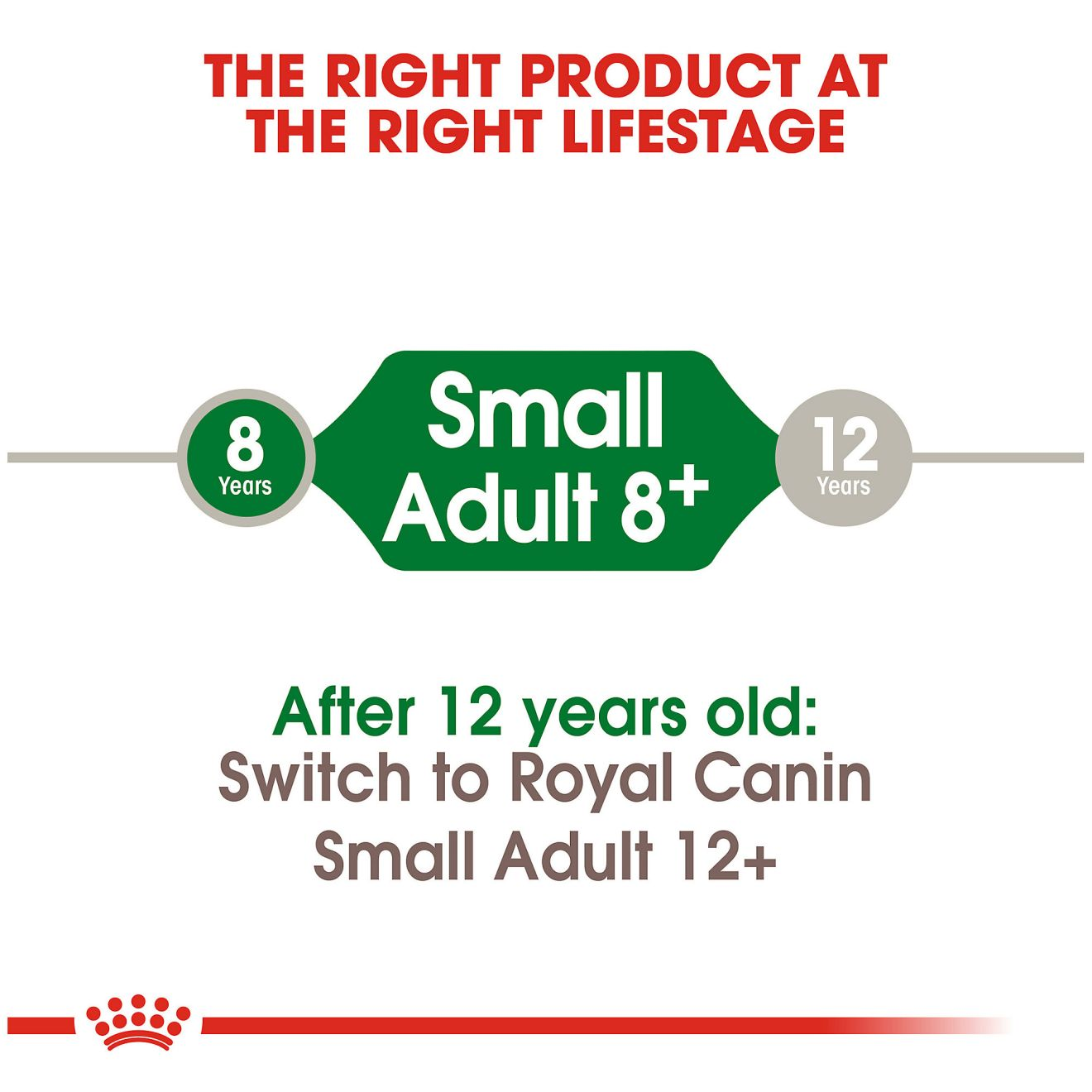 Small Adult 8+ Dry 