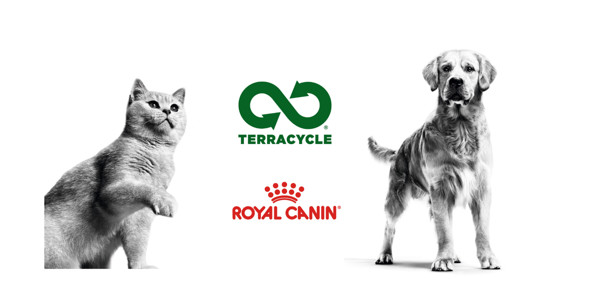 Terracycle pet clearance food