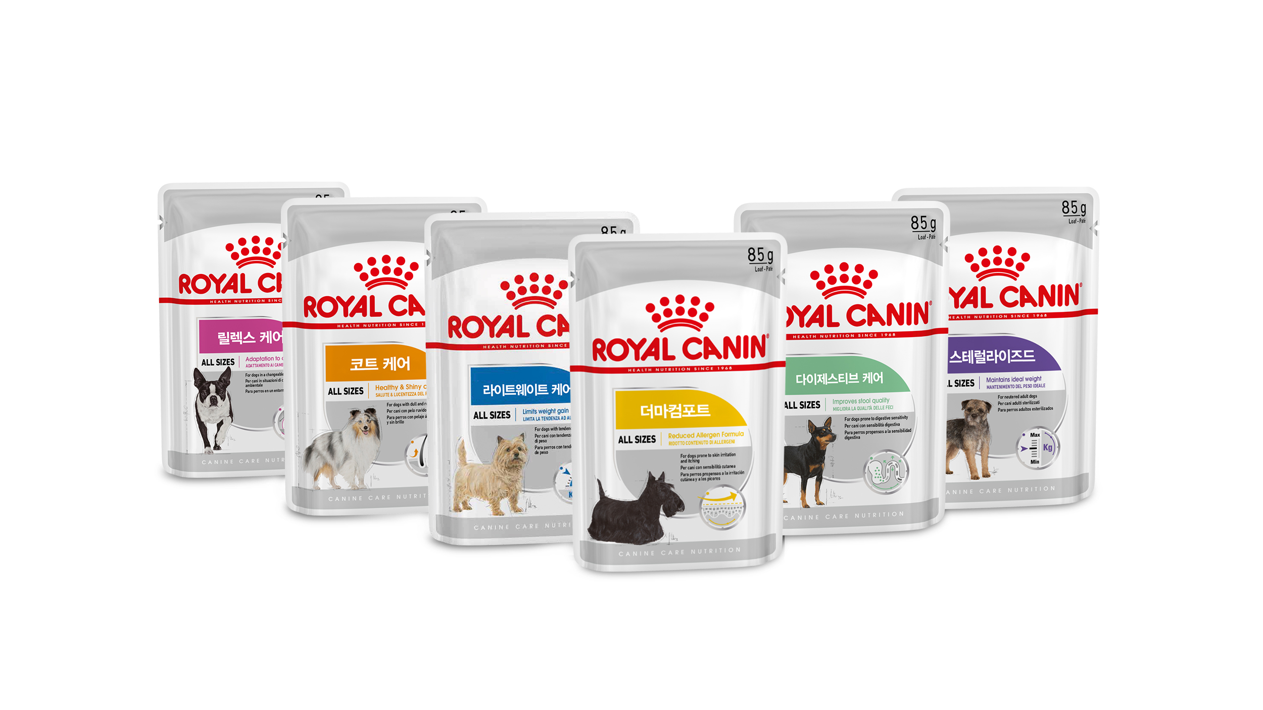 Canine care wet product range pack shot