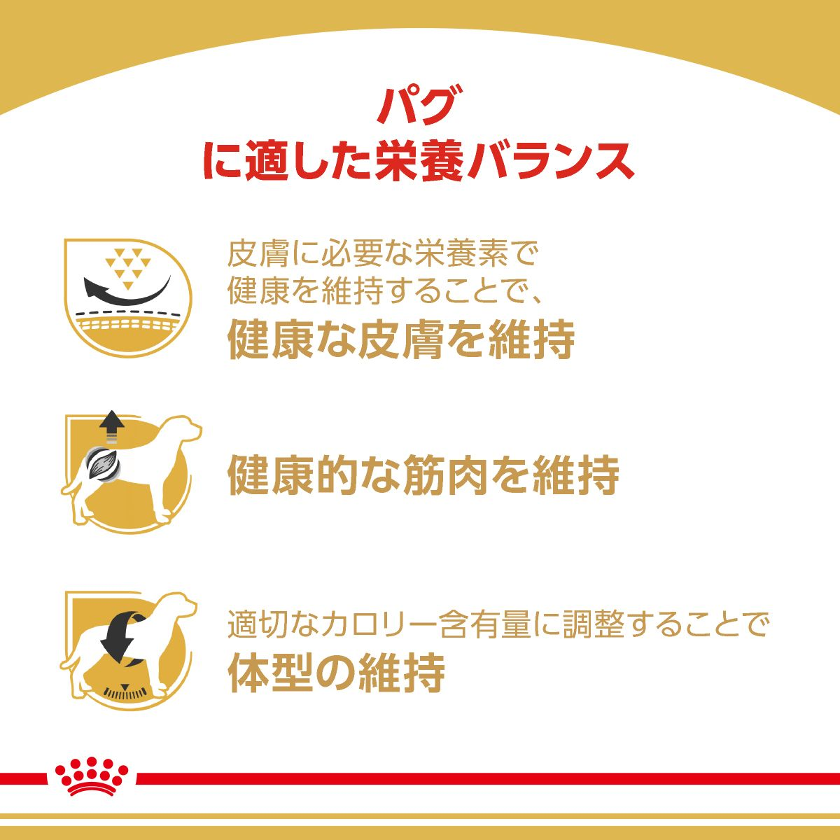 パグ （成犬～高齢犬用 ドライ） | Royal Canin JP
