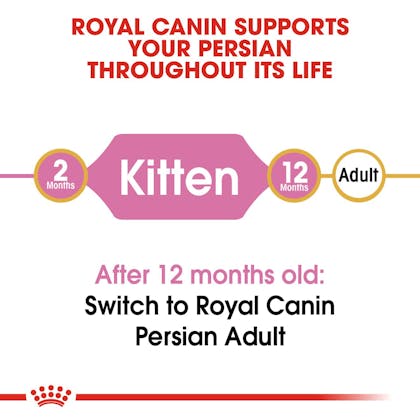 RC-FBN-KittenPersian-CV-EretailKit-1