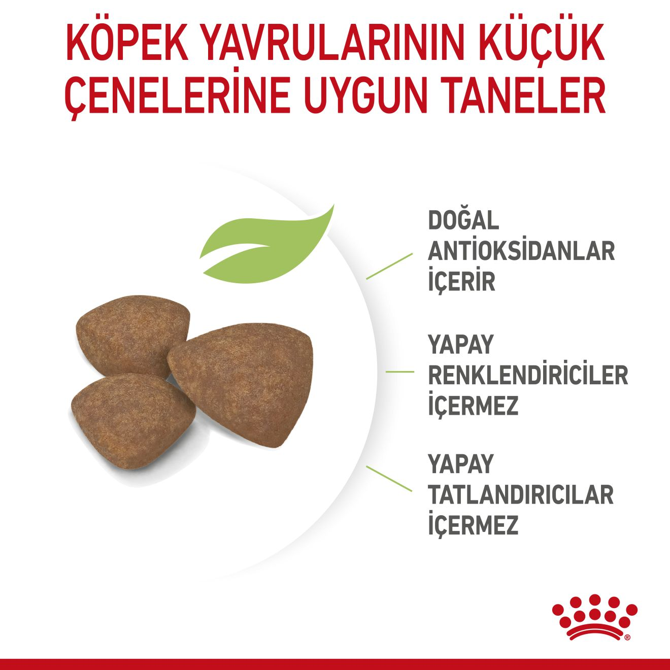 Mini Puppy Yavru Köpek Kuru Maması