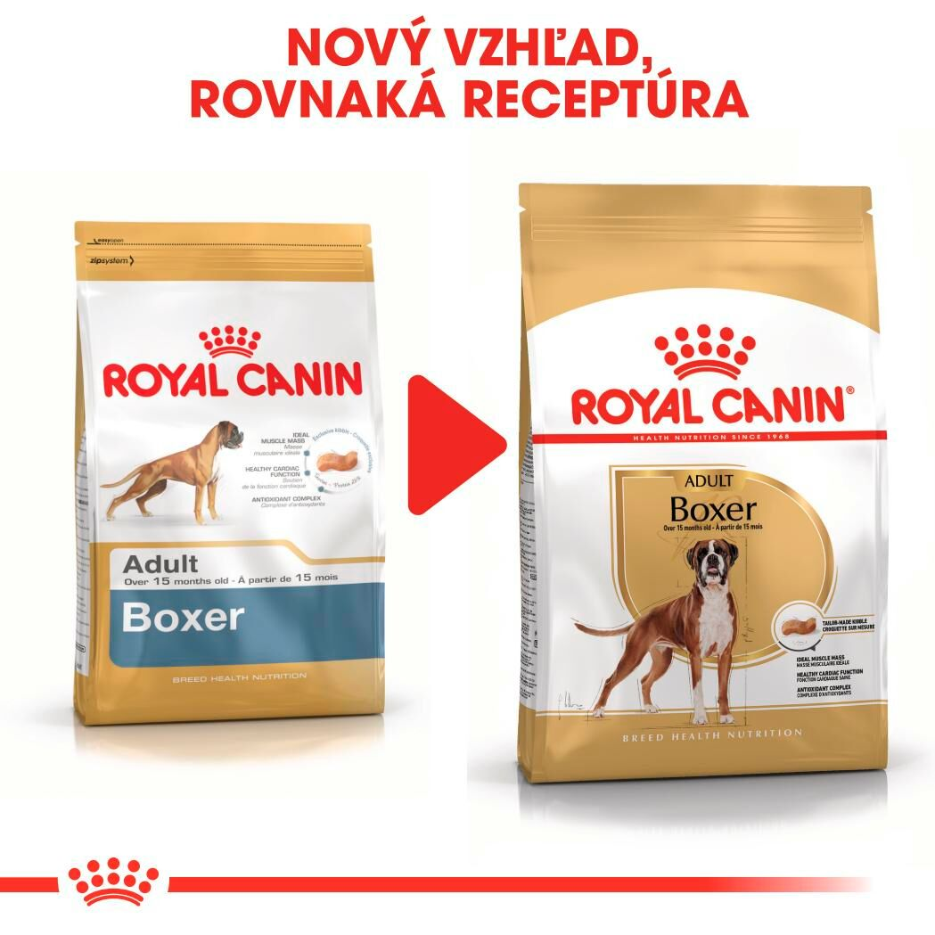BOXER Adult