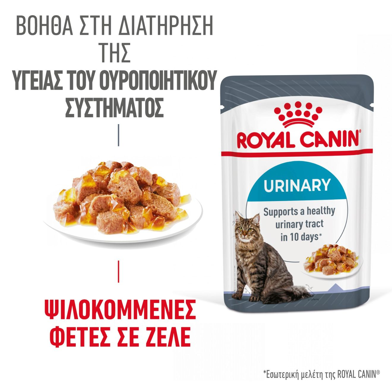 URINARY CARE Λεπτές φέτες σε ζελέ 