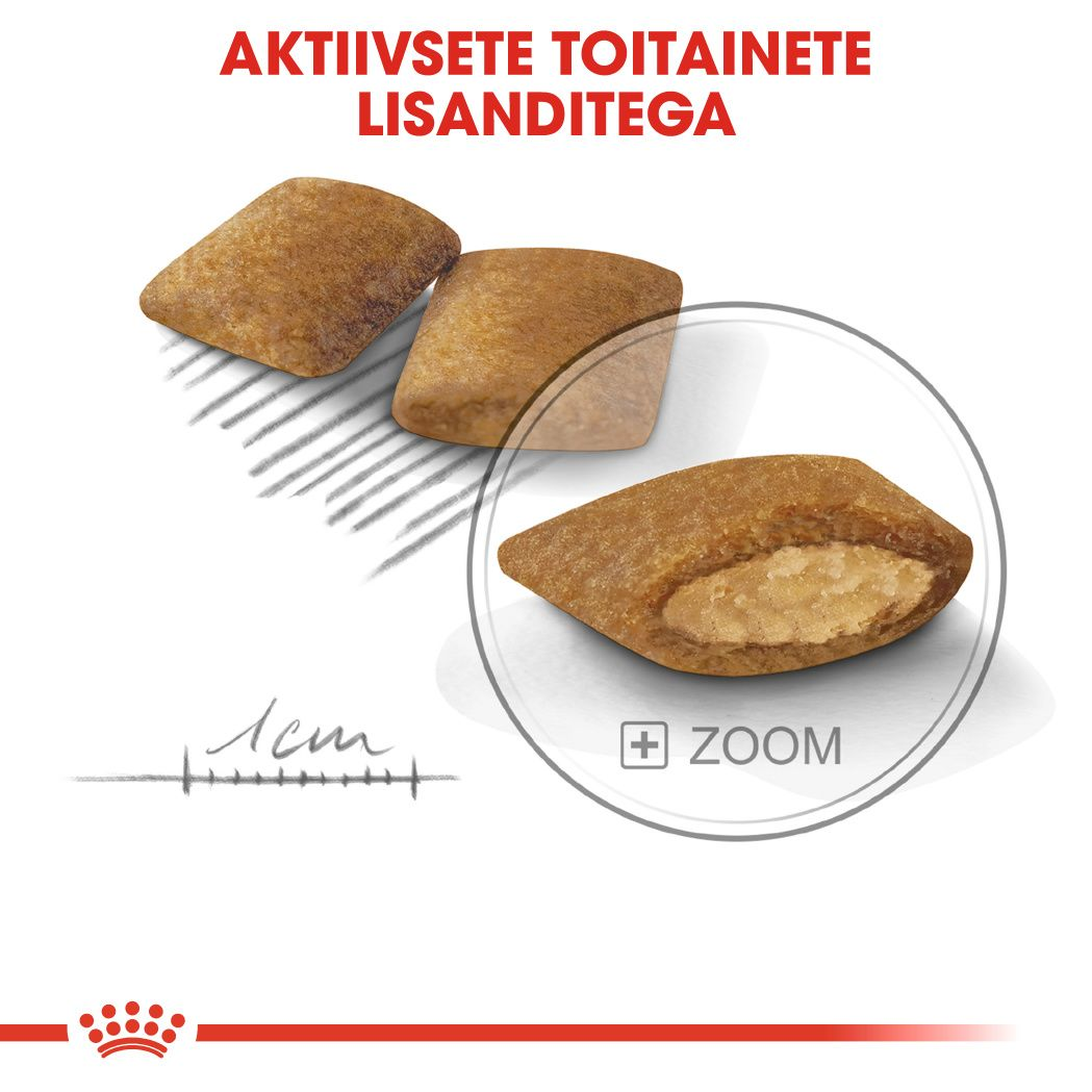 Royal Canin Mini Exigent kuivtoit