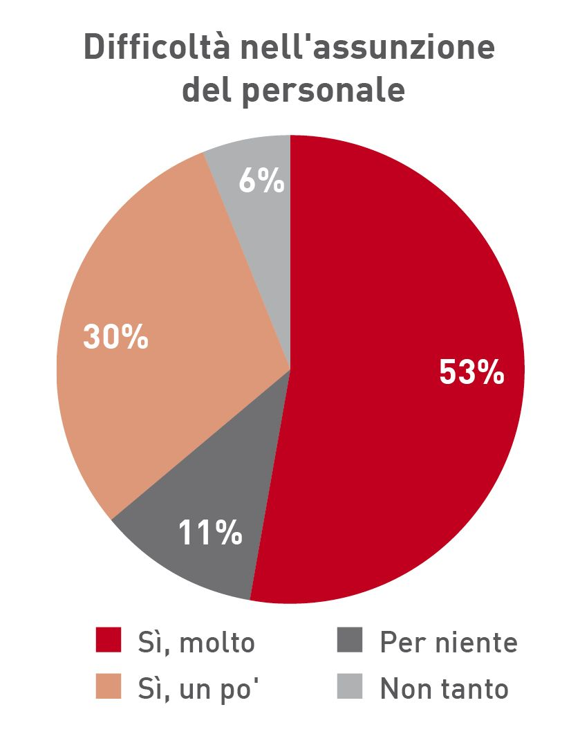 Esperienze degli intervistati con difficoltà nell’assunzione dei dipendenti