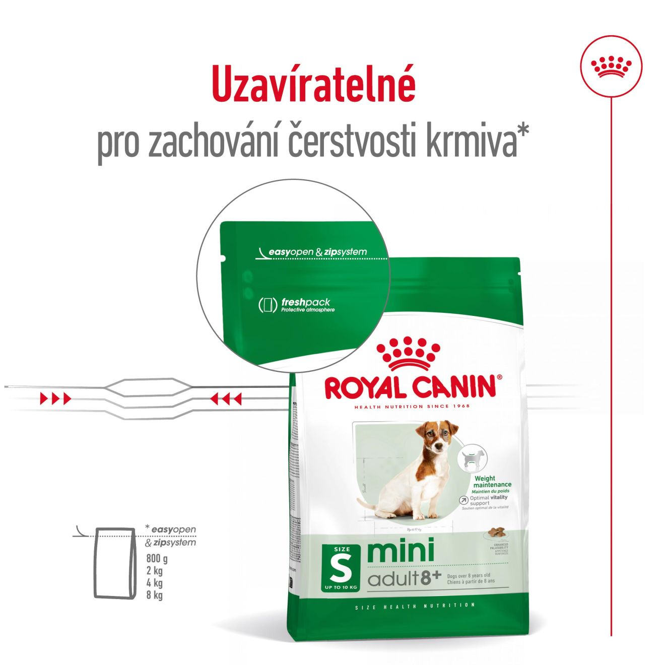 Mini Adult 8+