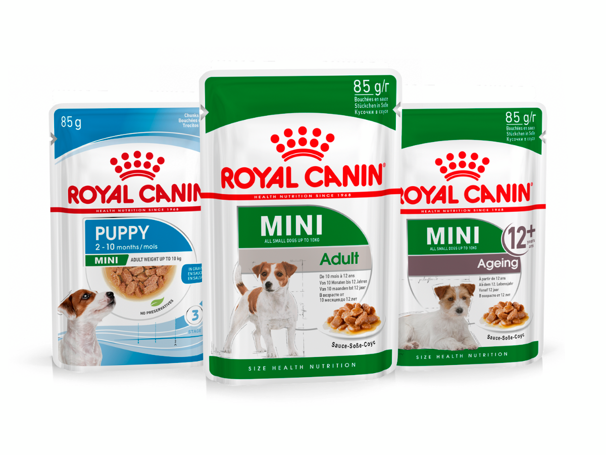 Patées et bouchées pour chien Royal Canin