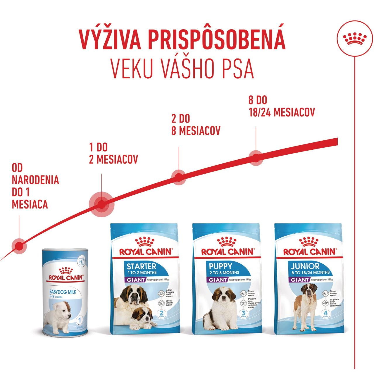 GIANT STARTER Mother & Babydog 