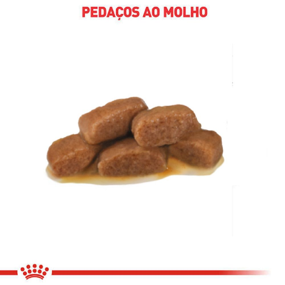 Satiety Feline Pedaços ao Molho Alimento Úmido