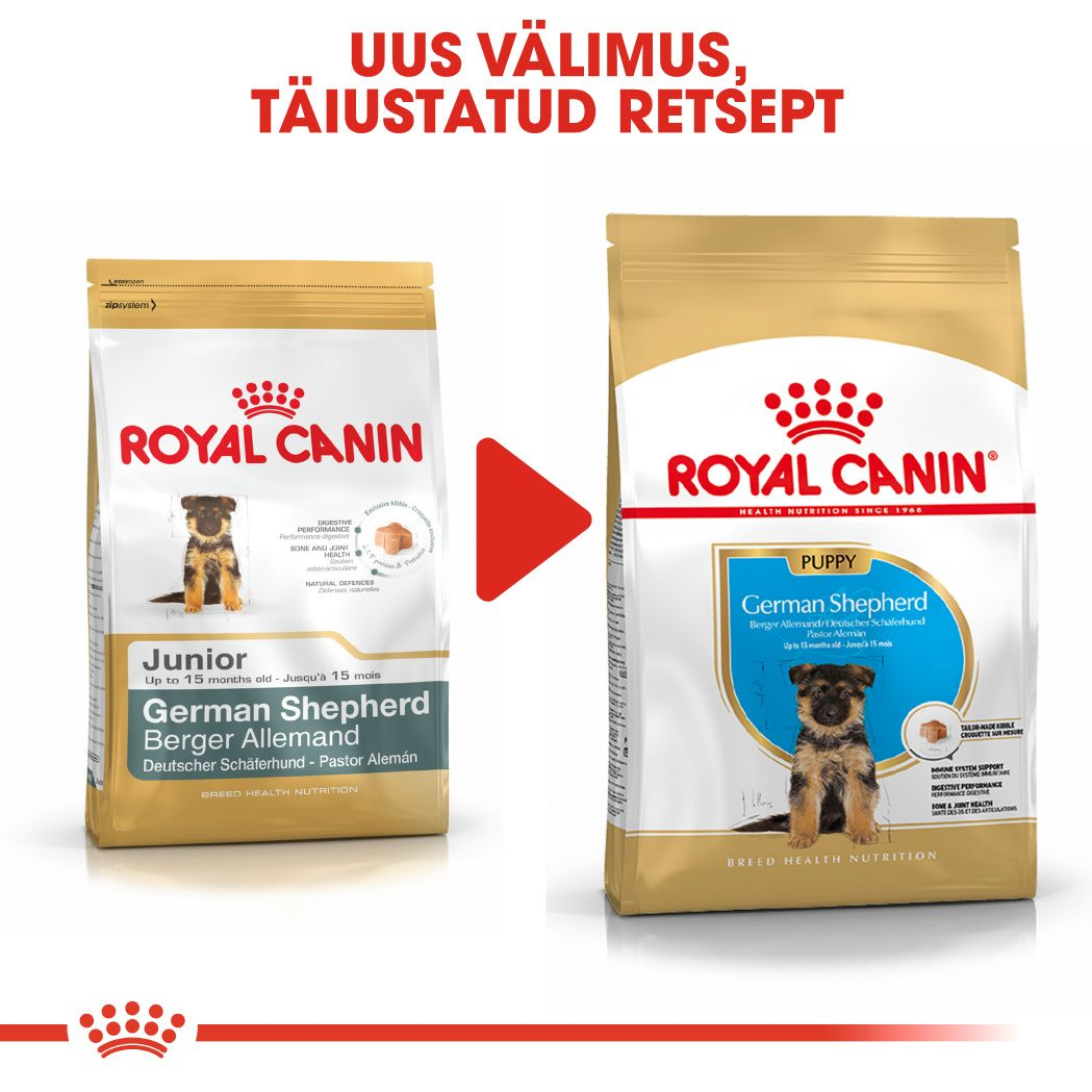 Royal Canin German Shepherd Puppy kuivtoit