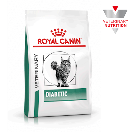 VHN-BrandFlagship-Hero-Images-Weight Management Diabetic Cat Dry-B1