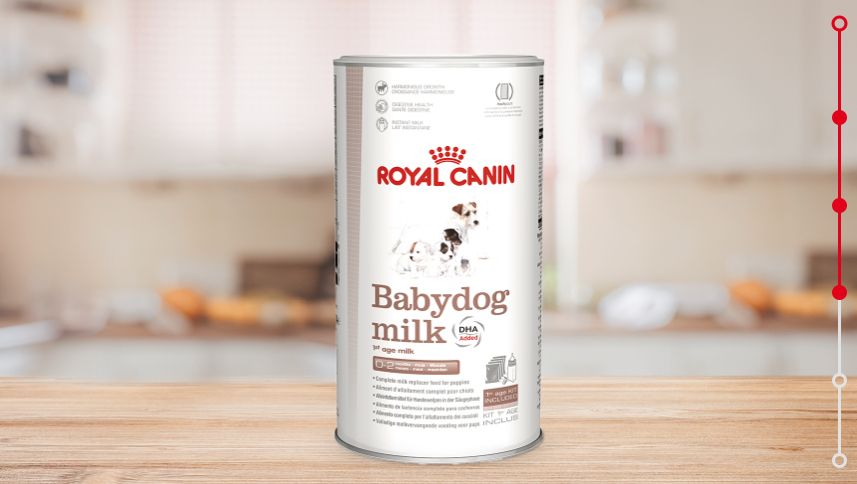 Royal canin babydog outlet milk