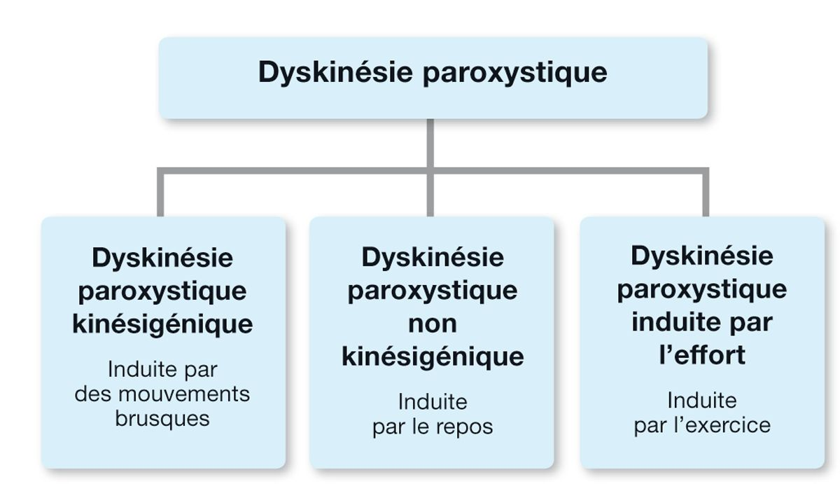 Plusieurs types de dyskinésies paroxystiques ont été décrits chez le chien et il se révèle utile de les classer en fonction du facteur favorisant.