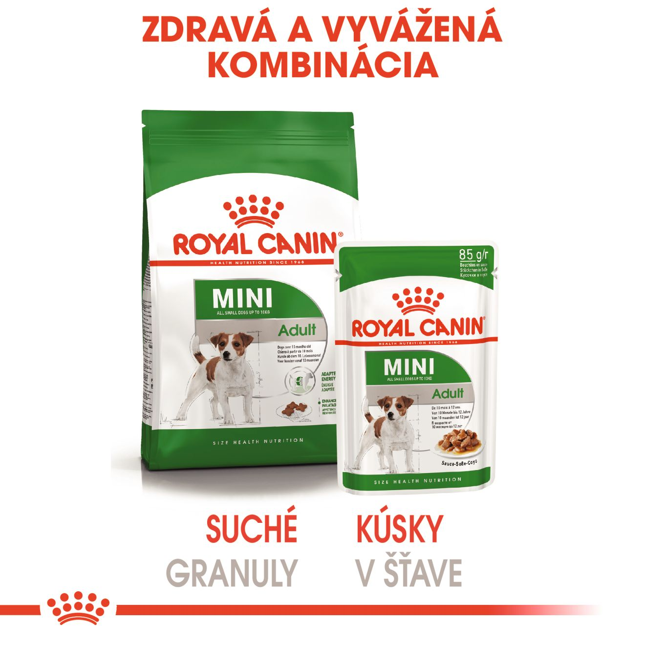 ROYAL CANIN Mini Adult kapsička v šťave pre dospelých psov malých plemien