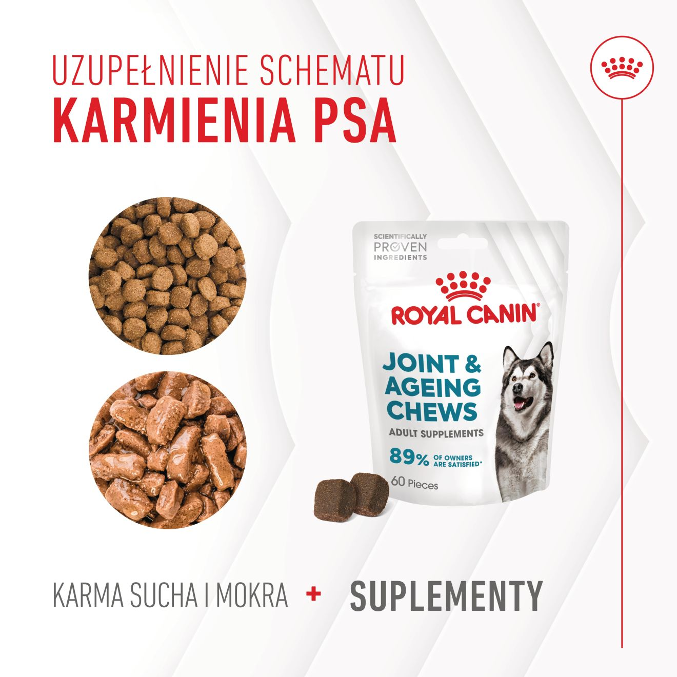 Supplements Dog Joint & Ageing Adult