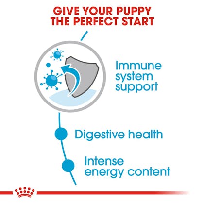 SHN-Wet-MiniPuppy-CV-Eretailkit-2