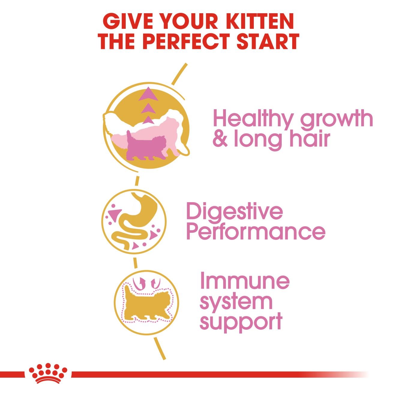 Royal canin clearance kitten persian 400g