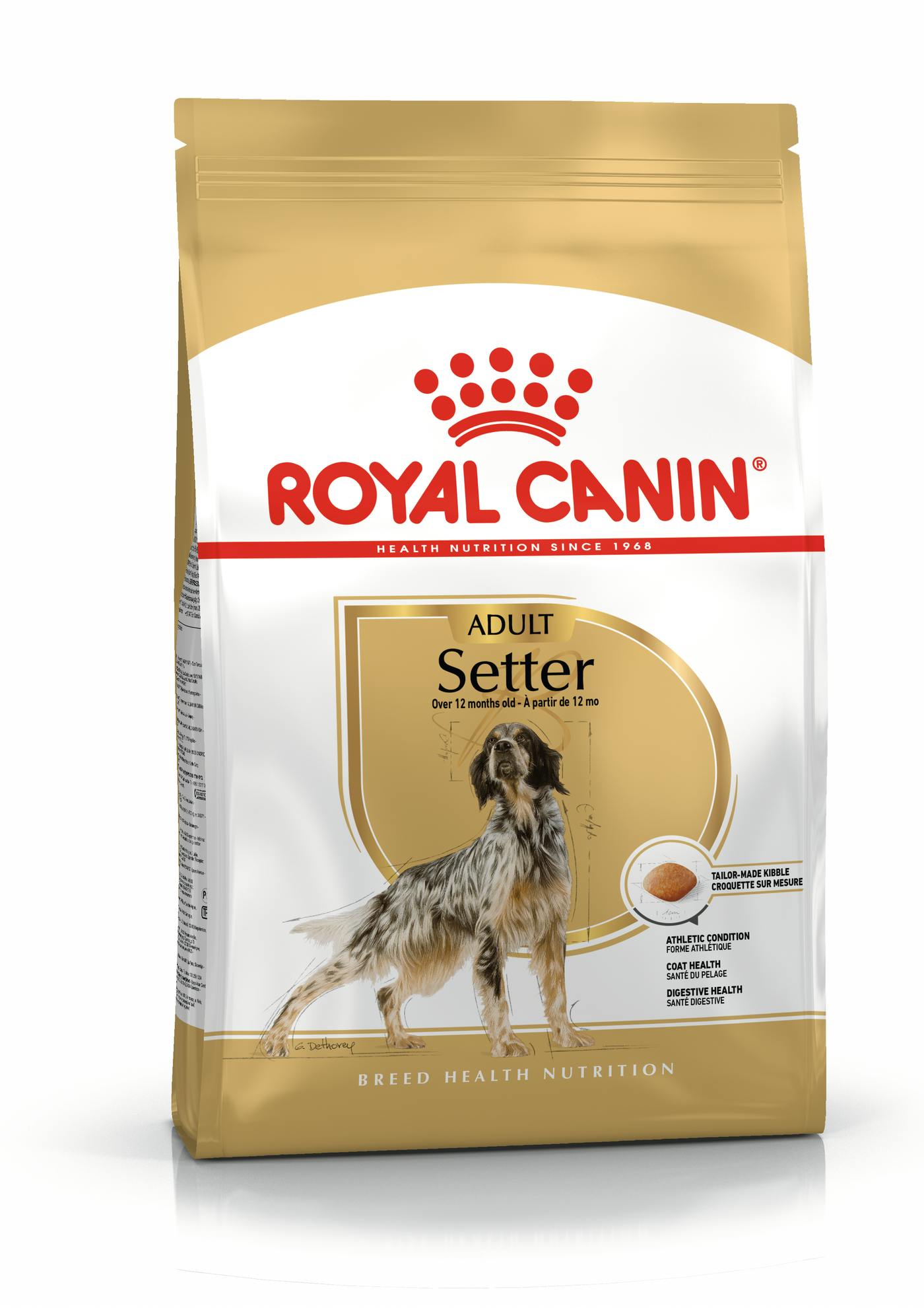 Royal canin 2025 irish setter