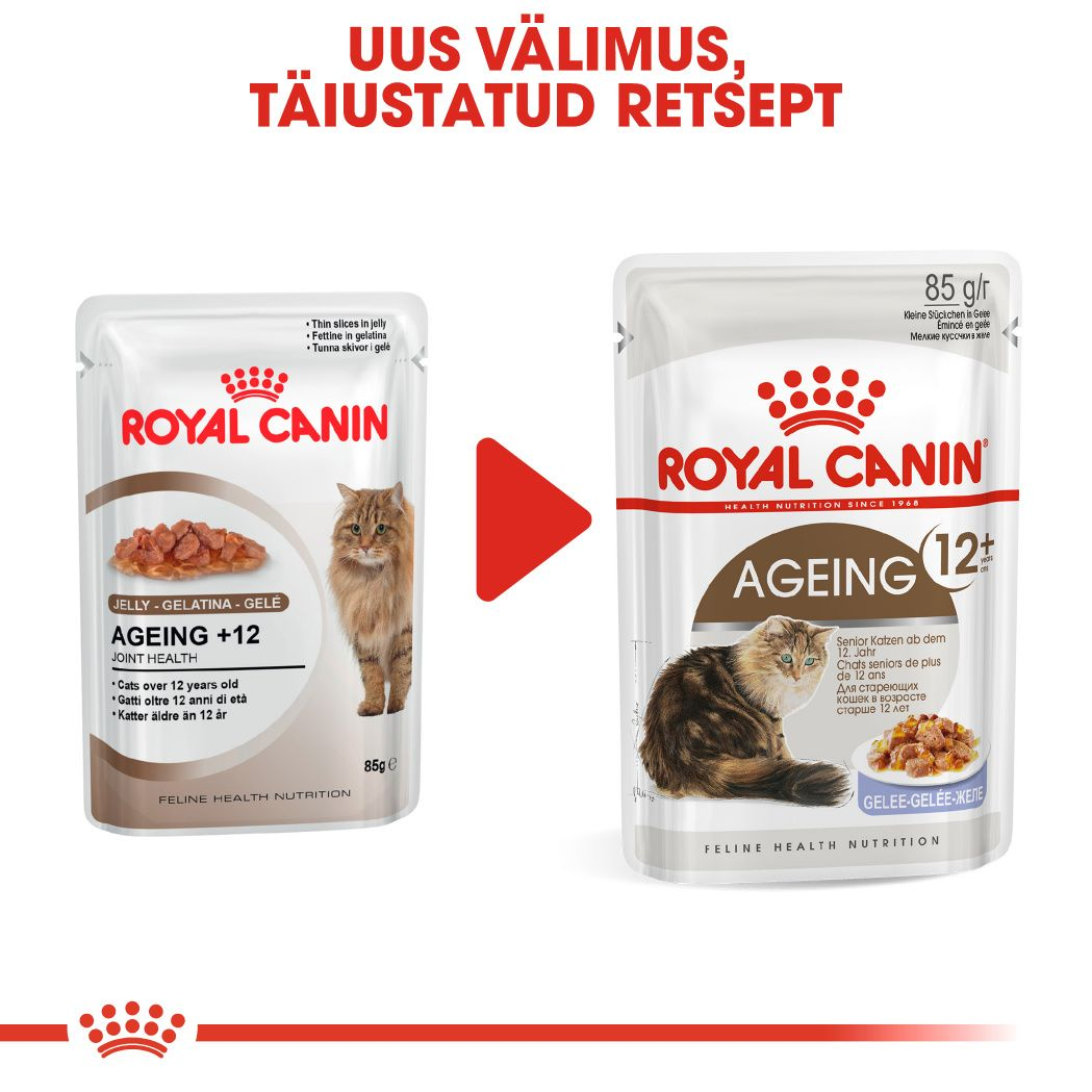 Royal Canin Ageing 12+ konserv (õhukesed viilud želees)