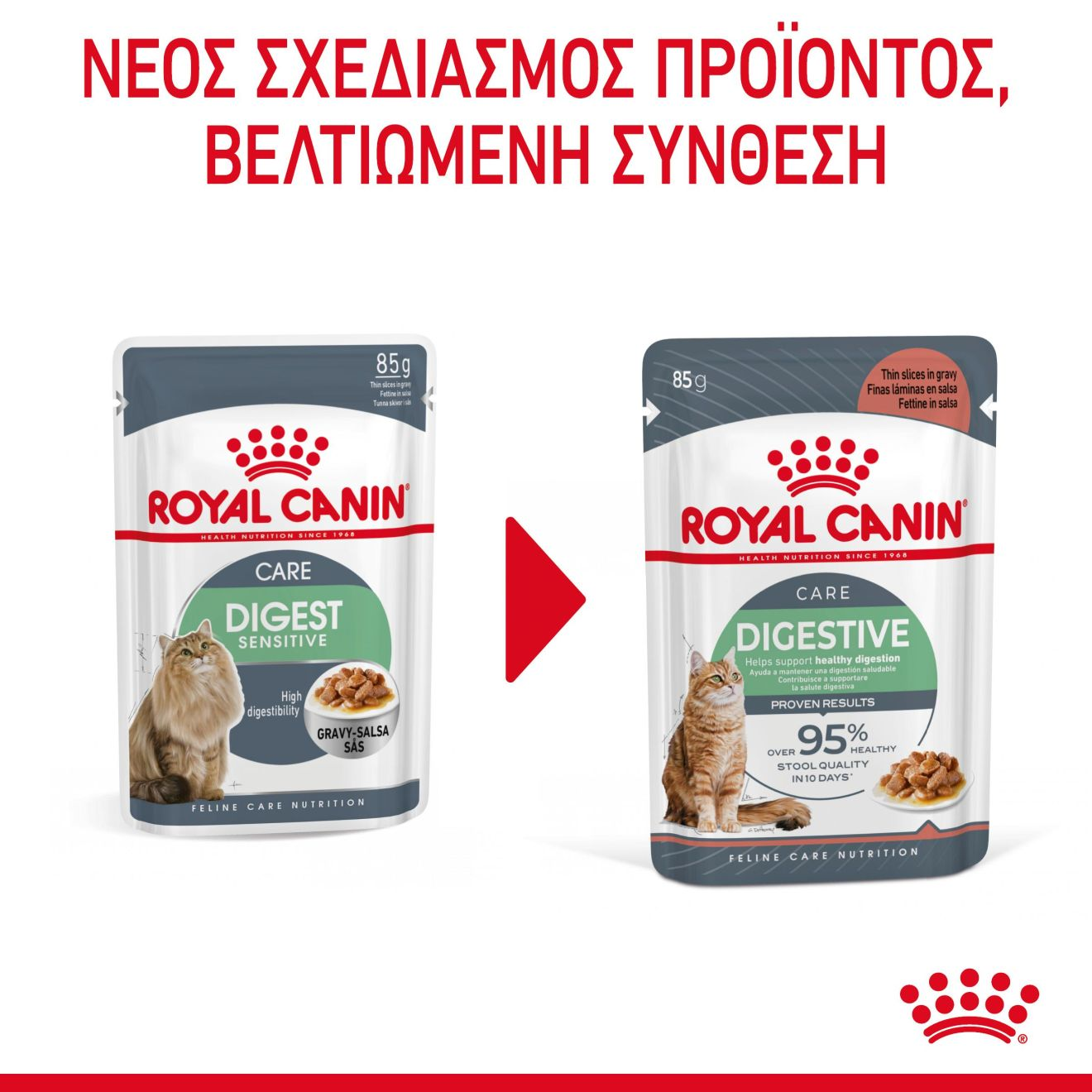 DIGESTIVE CARE Λεπτές φέτες σε σάλτσα