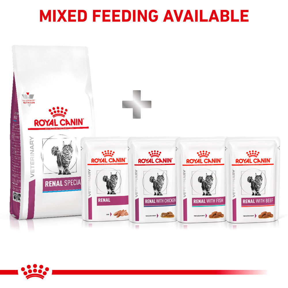 Renal Special Royal Canin UK