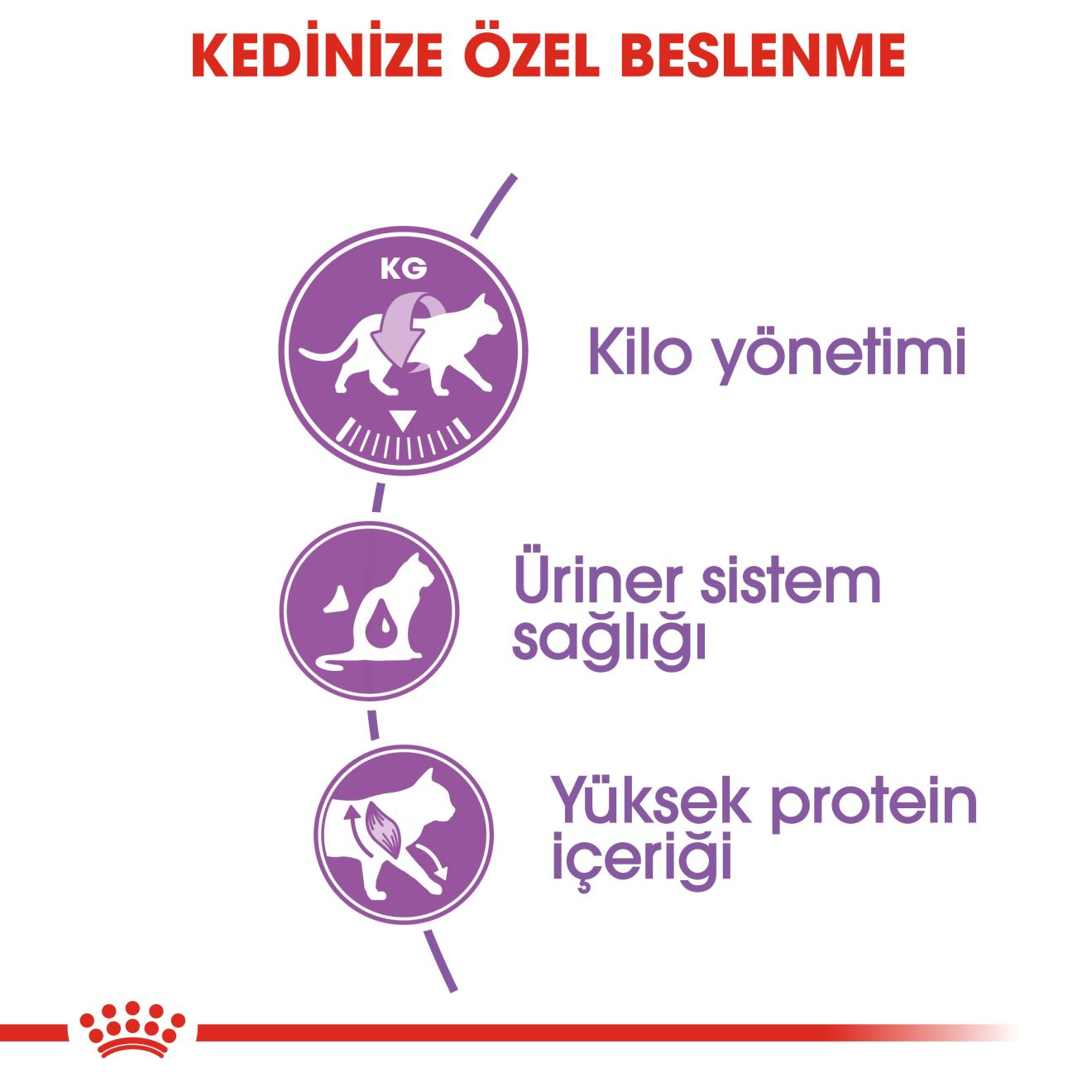Sterilised 37 Kısırlaştırılmış Yetişkin Kedi Kuru Maması
