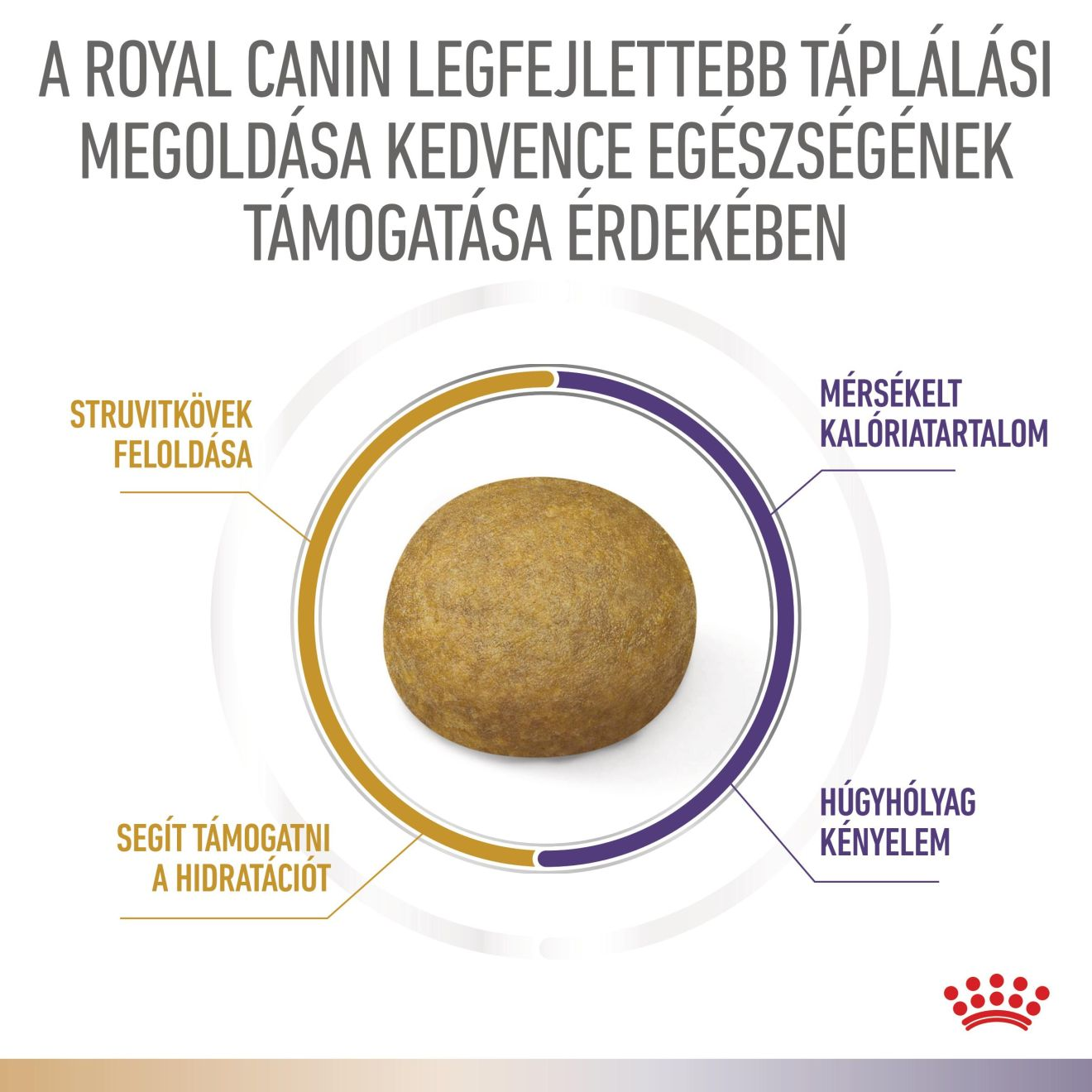Multifunction  Urinary S/O + Bladder Comfort