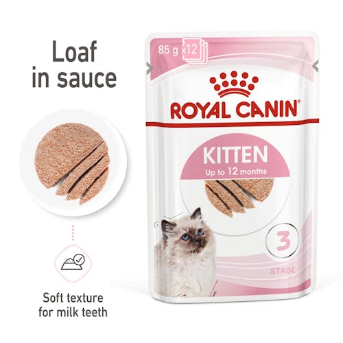 Kitten Loaf In Sauce