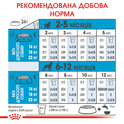 HI_SHN_MEDIUM_PUPPY_ua_5