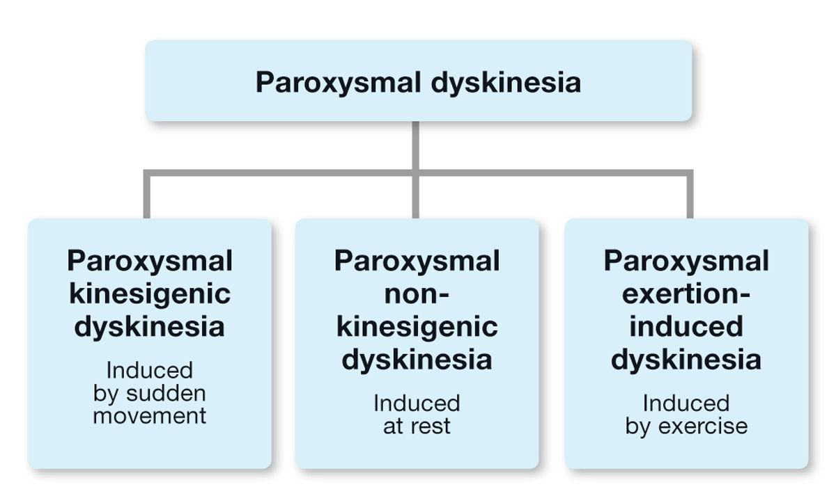 Paroxysmal Gluten Sensitive Dyskinesia In Border