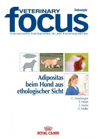 Adipositas beim Hund aus ethologischer Sicht