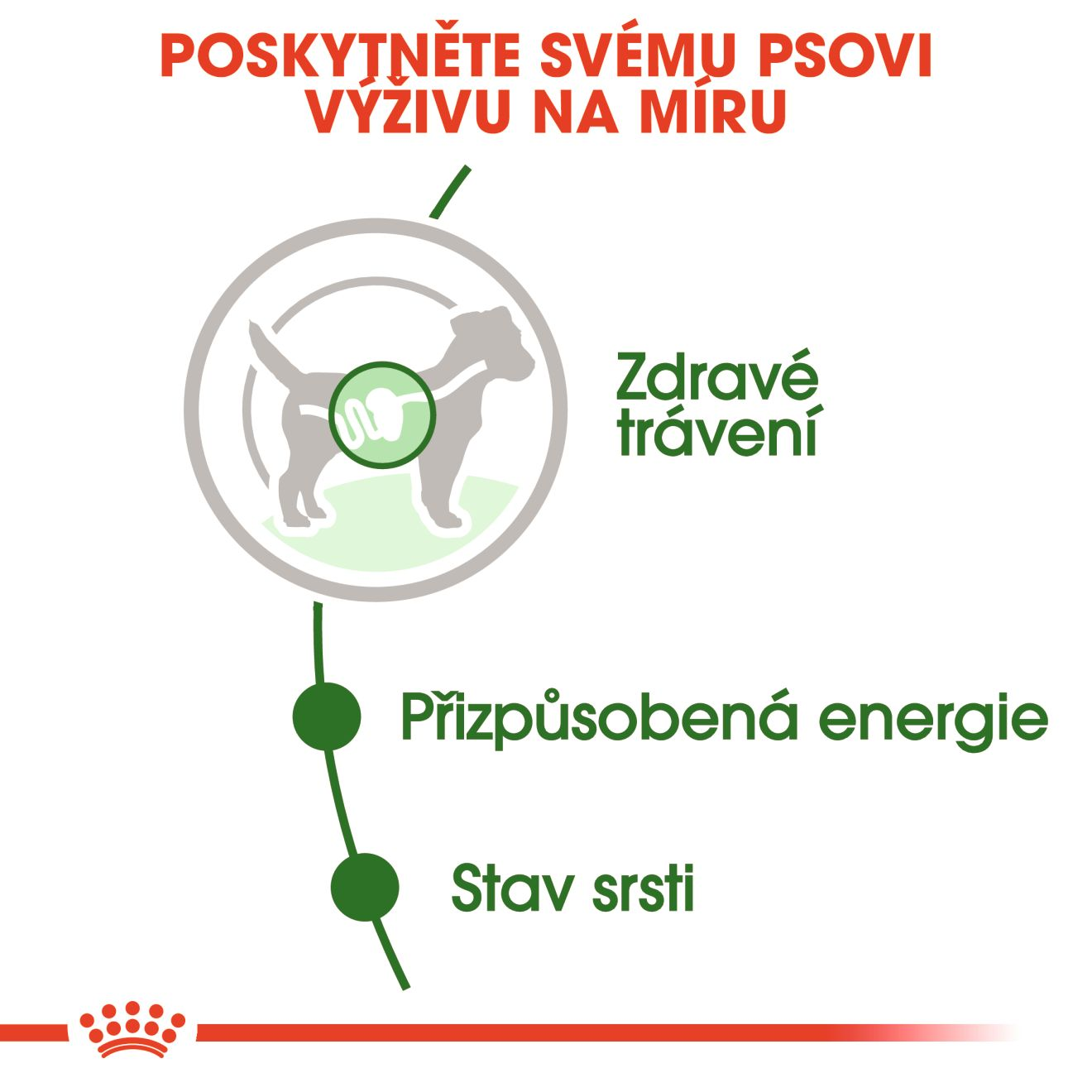 ROYAL CANIN Mini Adult kapsička ve šťávě pro dospělé psy malých plemen