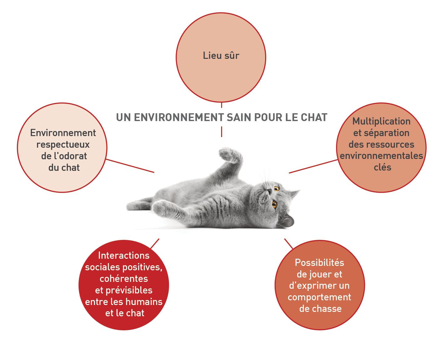 Les besoins généraux des chats figurent dans la description des cinq piliers essentiels à un environnement sain pour l’animal
