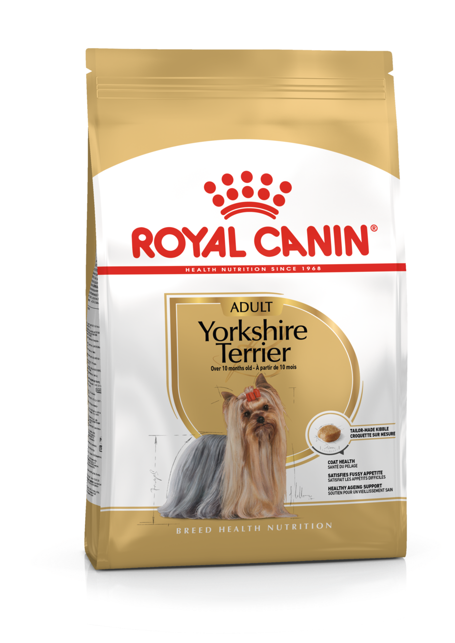 Yorkshire Terrier Adult