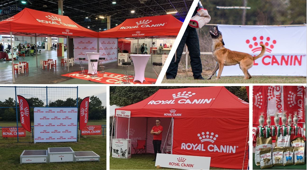 Ismerje meg tevékenységünket!