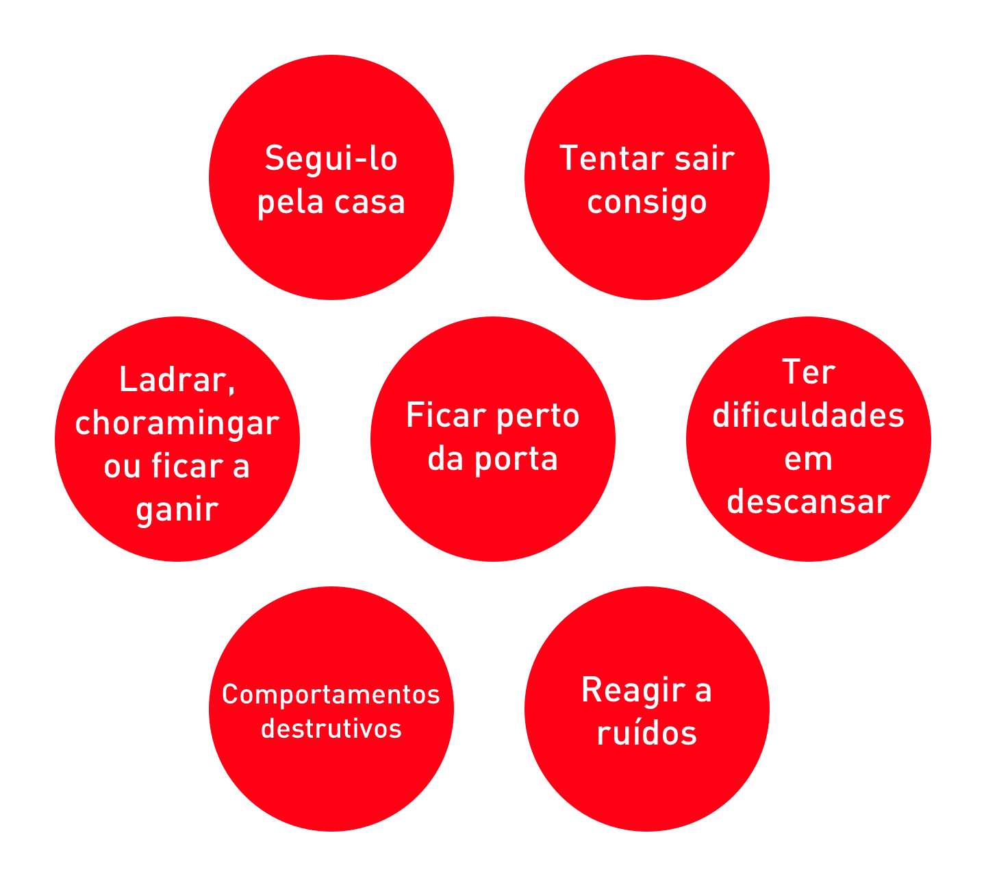 Typical signs of separation anxiety in dogs illustration