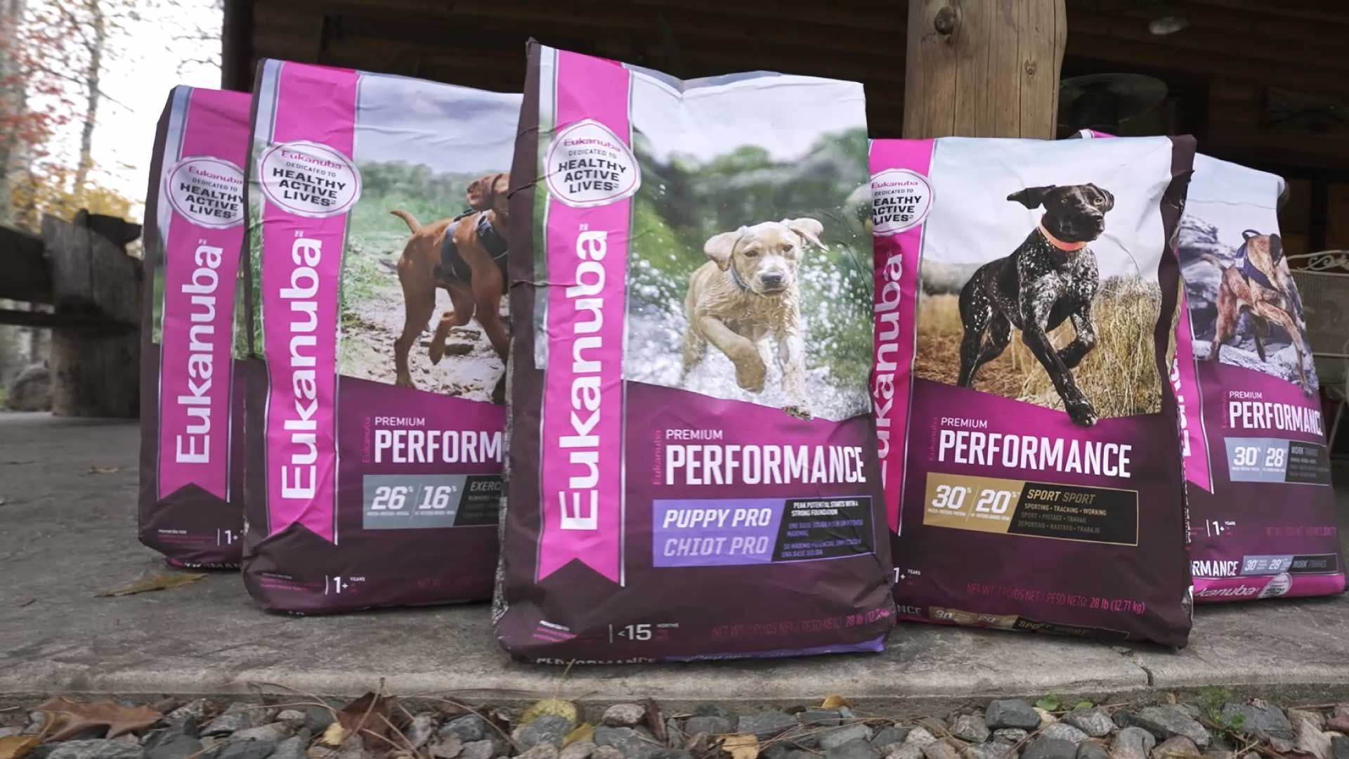 Eukanuba Premium Performance Portfolio with Puppy Pro