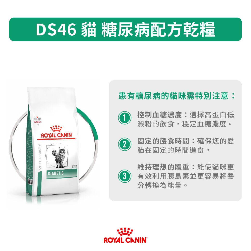 DS46 貓 糖尿病配方乾糧 | Royal Canin Taiwan
