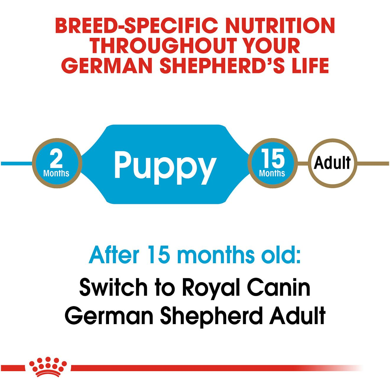 Royal canin german shepherd junior sale feeding guide