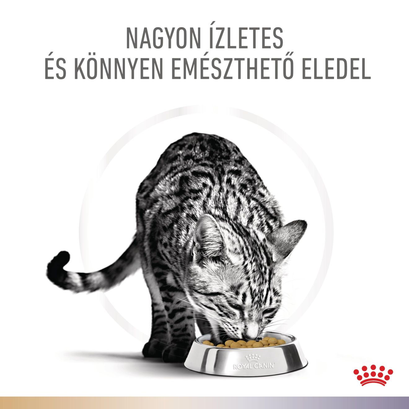 Multifunction  Urinary S/O + Bladder Comfort