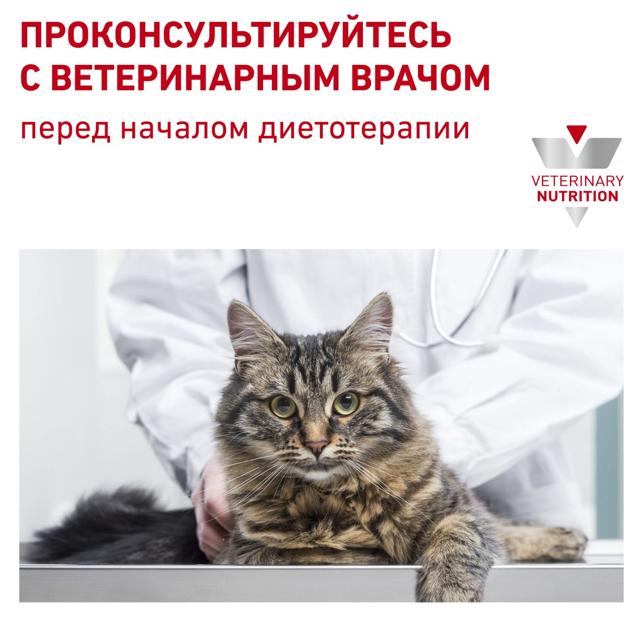 Pets at home store royal canin urinary