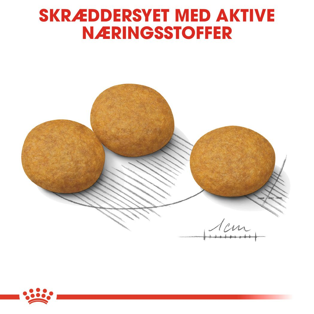 Medium Dermacomfort Adult