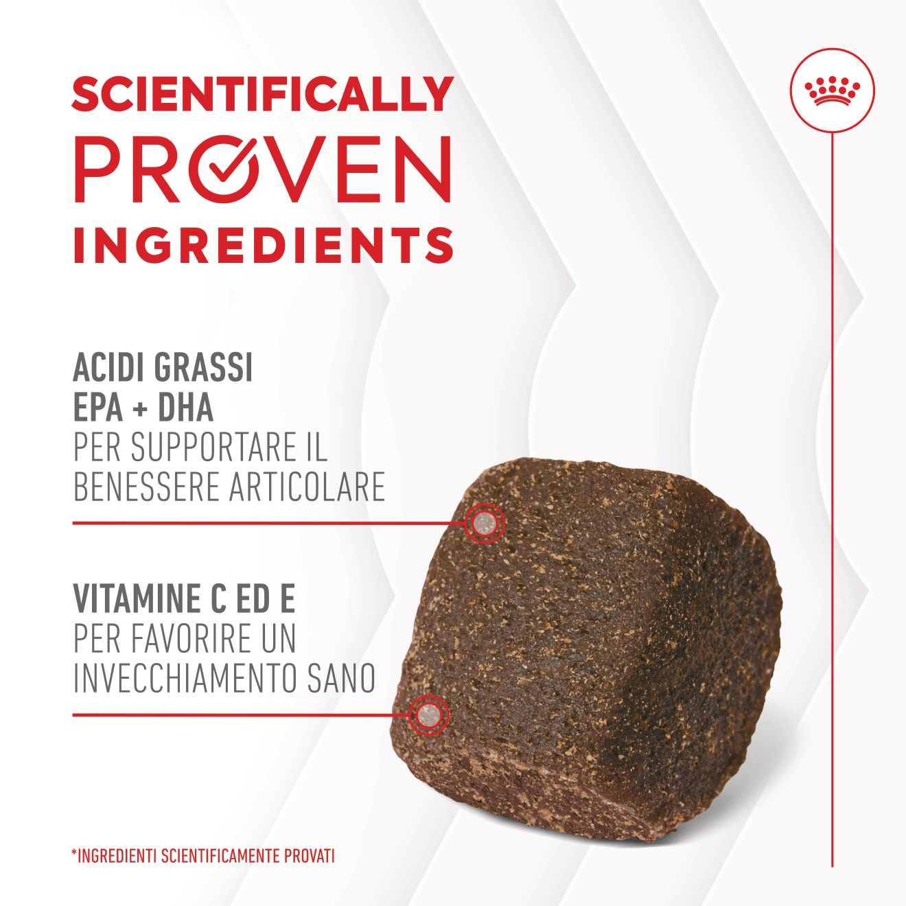 Supplement Joint & Ageing chews
