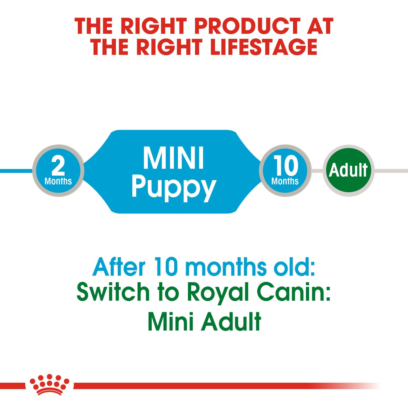 Royal canin best sale junior wet food