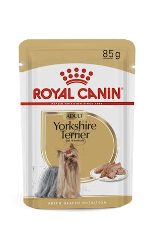 Yorkshire Terrier - Alimento úmido 