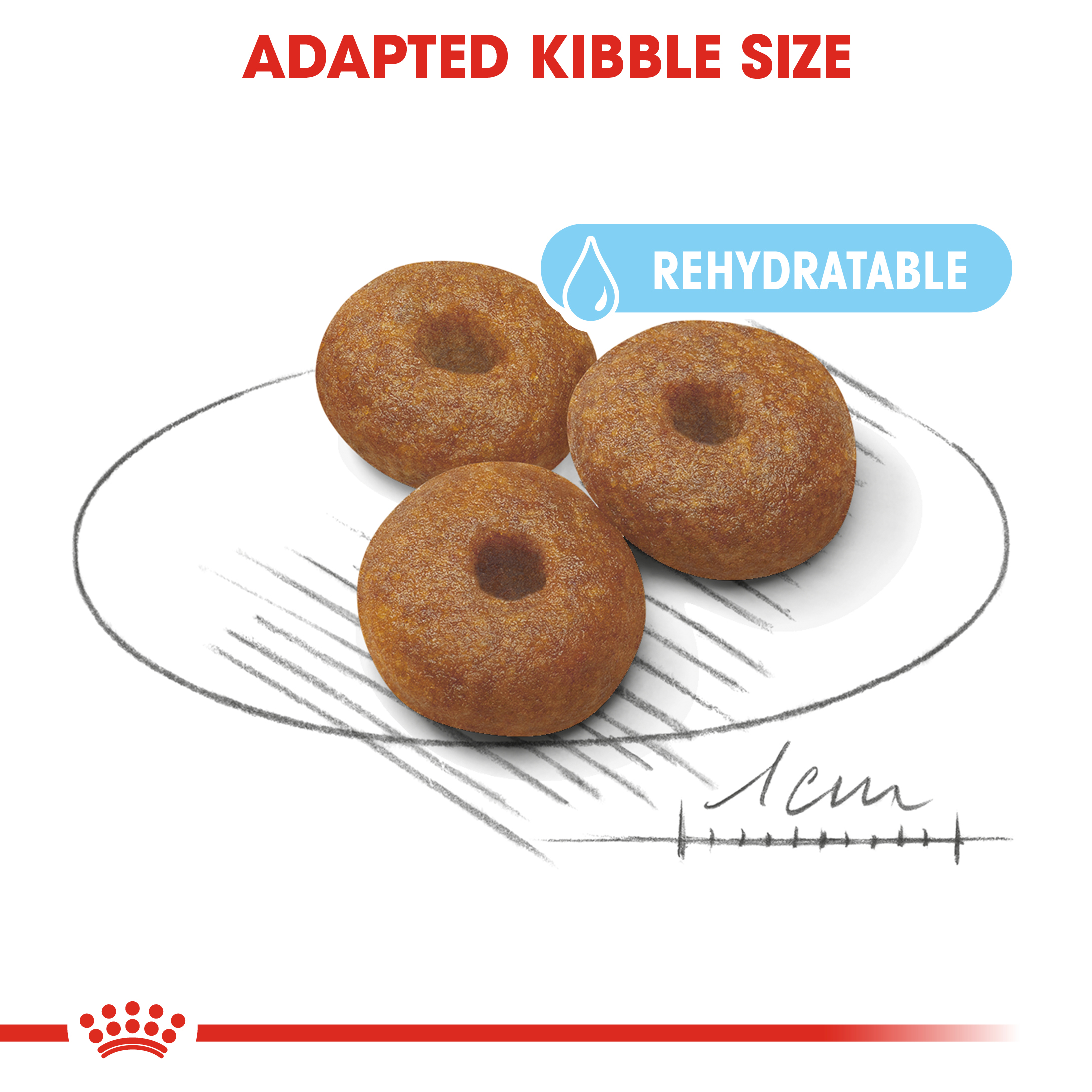 royal canin maxi starter mother and baby dog