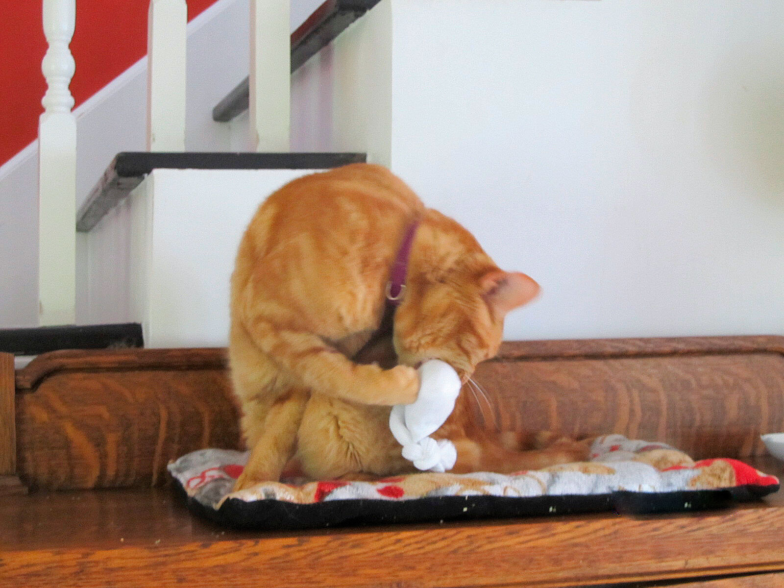 Figura 7. Los juguetes que contienen catnip pueden ser unos estimulantes olfativos agradables para el gato